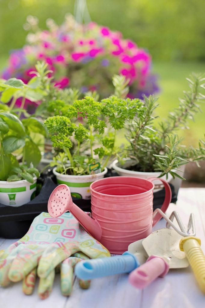Gardening for beginners: Turn gardening into a hobby. Plants and gardening tools.