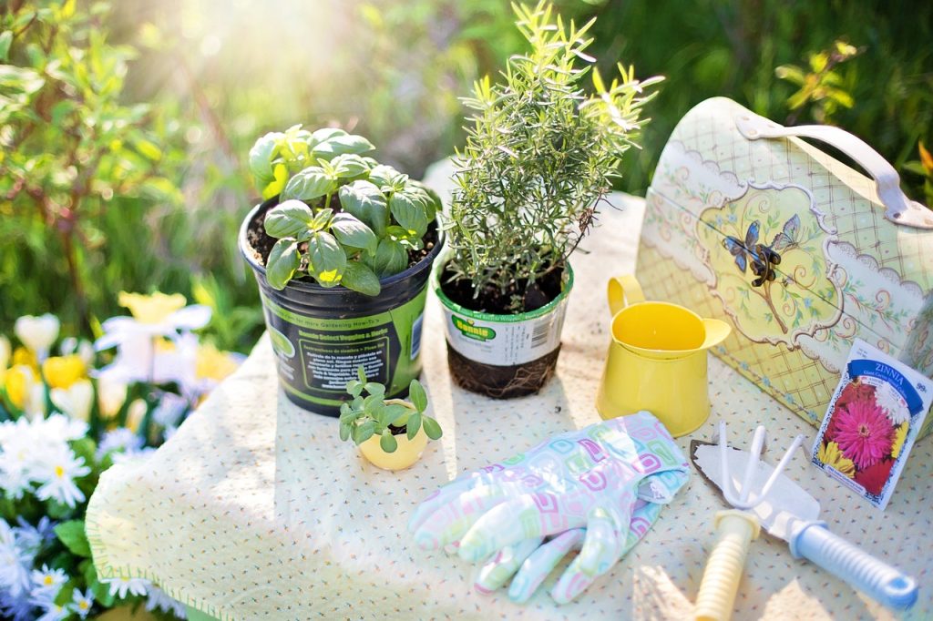 Gardening for beginners: Turn gardening into a hobby. Plants and gardening tools.